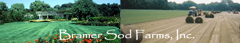 Bramer Sod Farm